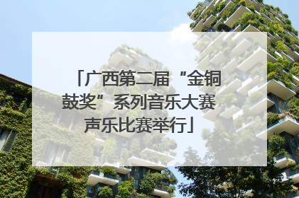 广西第二届“金铜鼓奖”系列音乐大赛声乐比赛举行